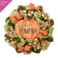 Hello Pumpkin Thanksgiving Pumpkin Door Wreaths - Halloween Fall Autumn Orange Mesh Front Door Decor - Pink Door Wreaths
